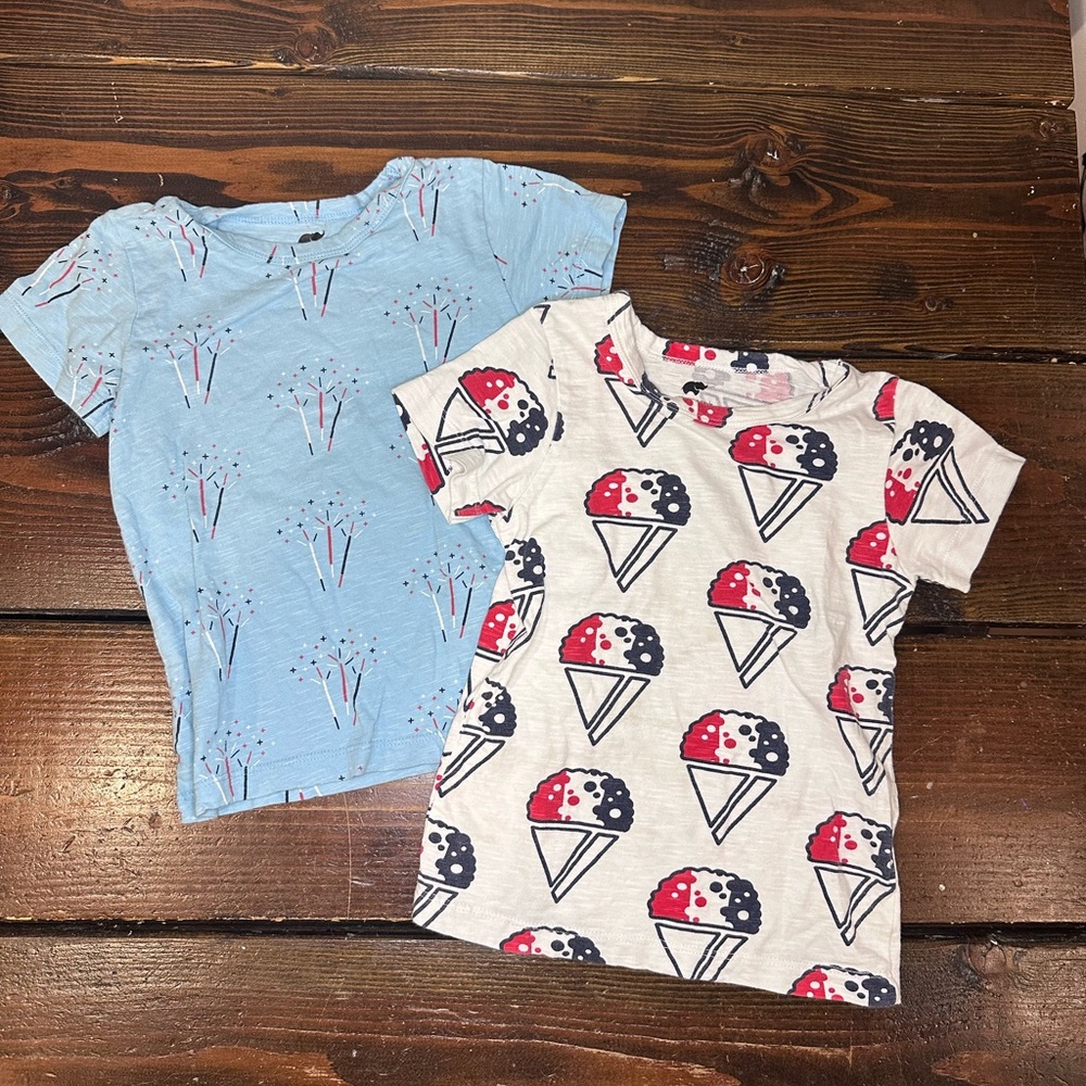 Monica & Andy patriotic tee-shirts 4T